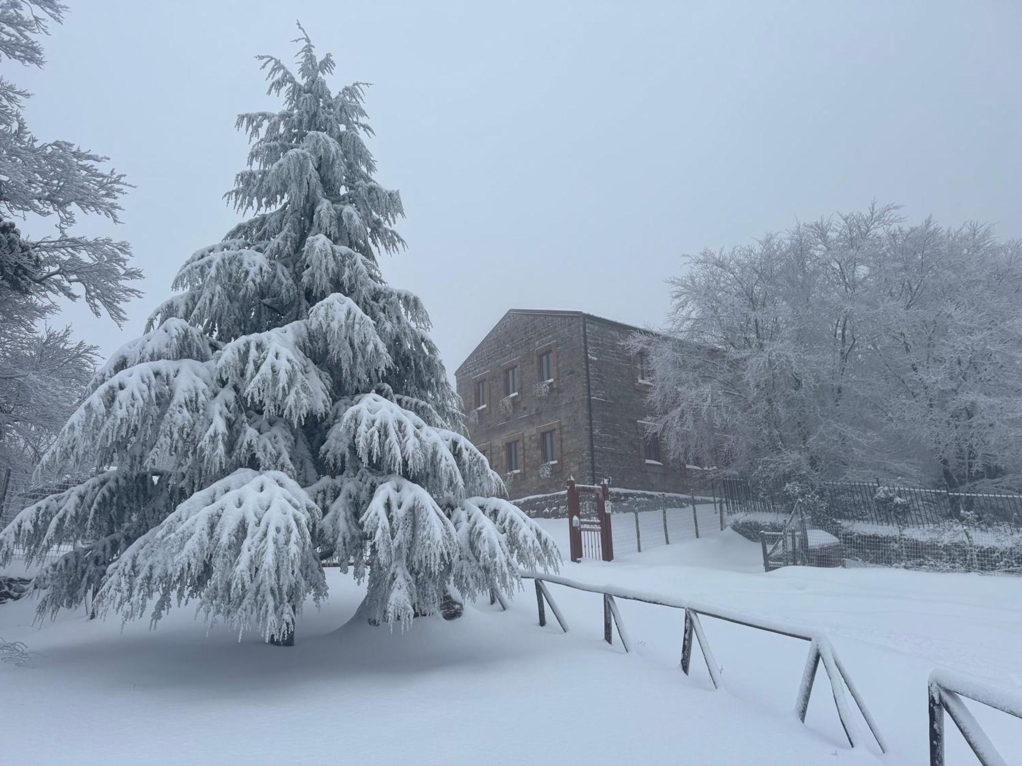 Nebris - Rifugio Del Parco Hotel San Fratello Екстериор снимка